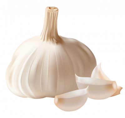 Garlic 3 Pack